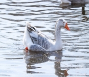 2019 03 17 Veterns MemorialPark 007